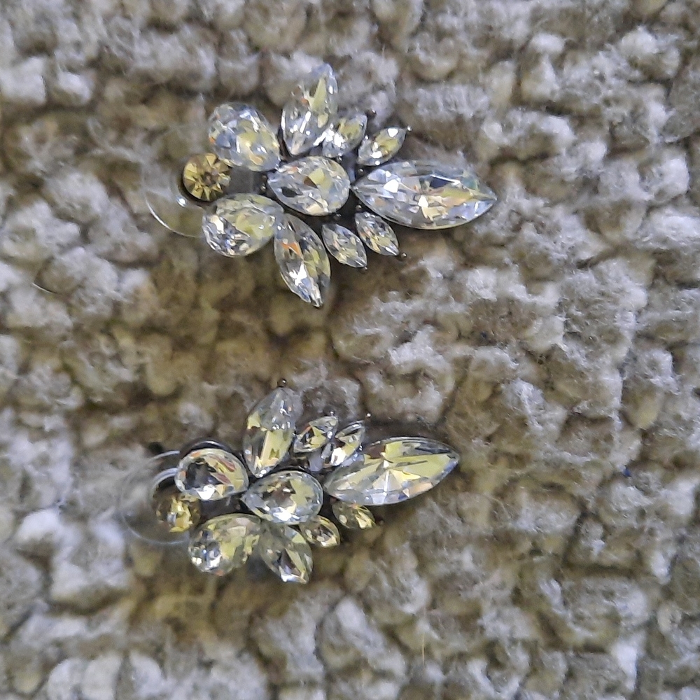 Never Worn Earrings